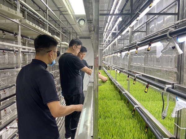 水培牧草工厂