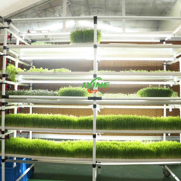 想進(jìn)行集裝箱水培種植的美國(guó)客戶